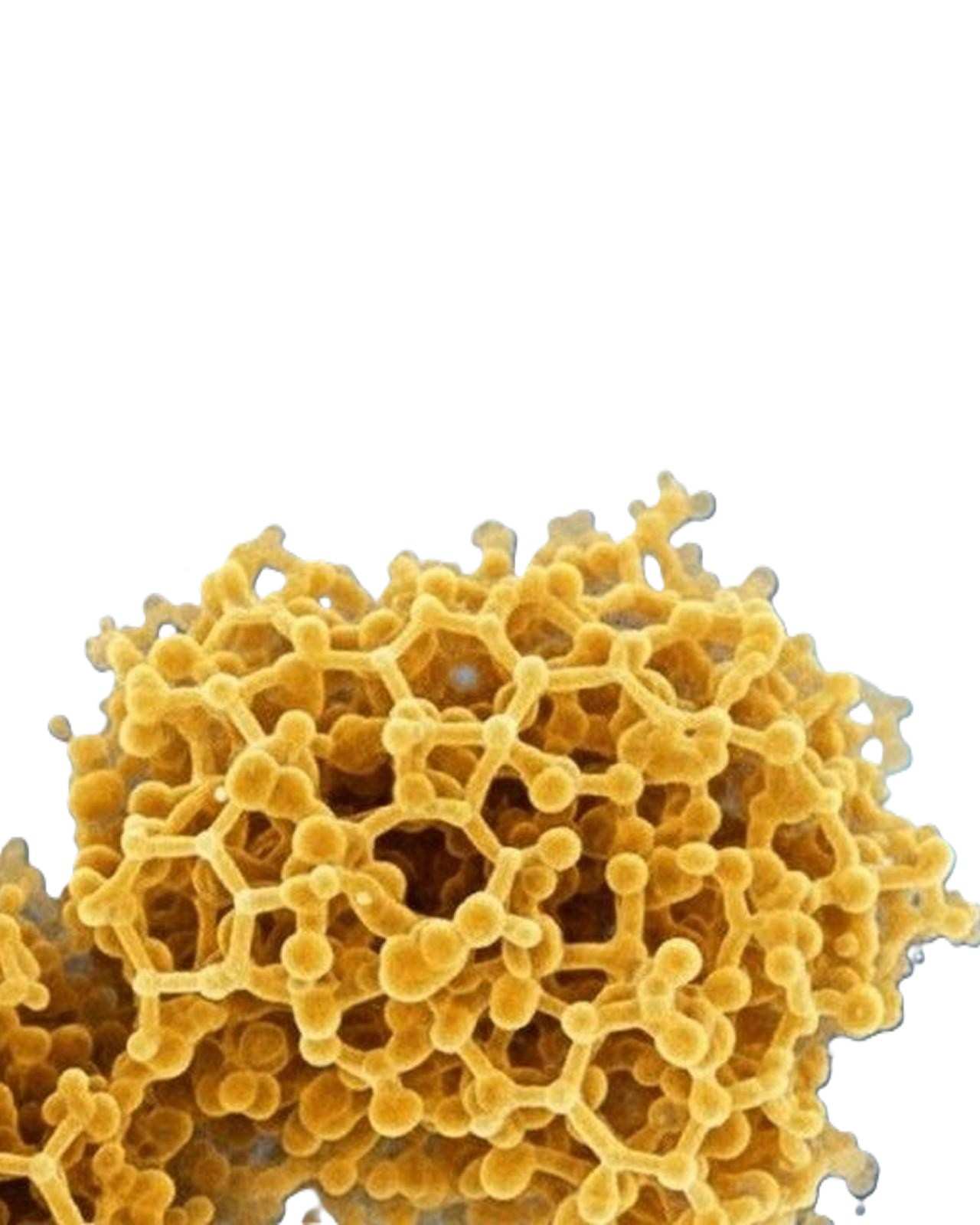 Taurine compound supporting calm focus neurological balance and sustained brain performance